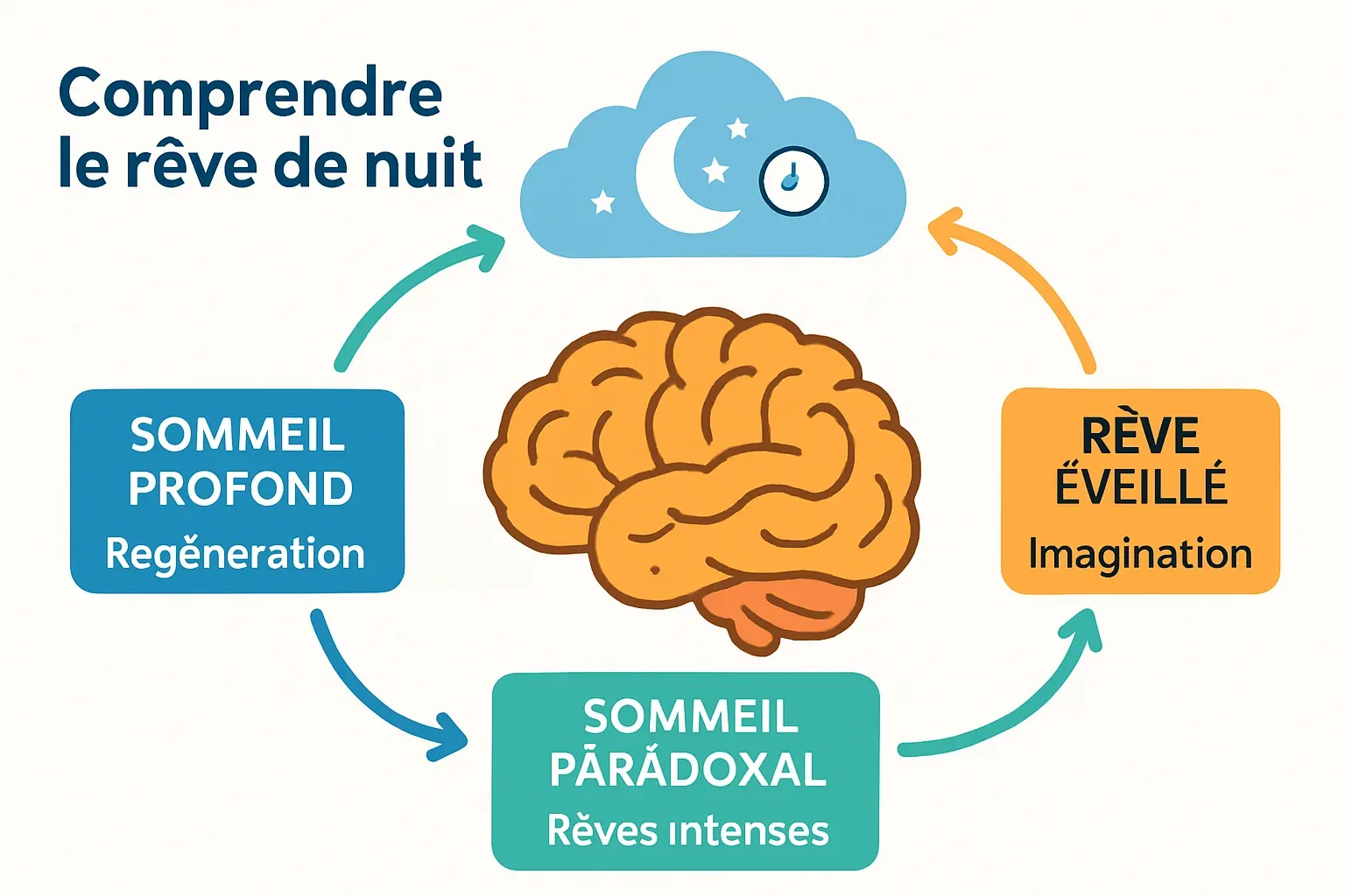 rever-de-nuit_20251028_084116.png